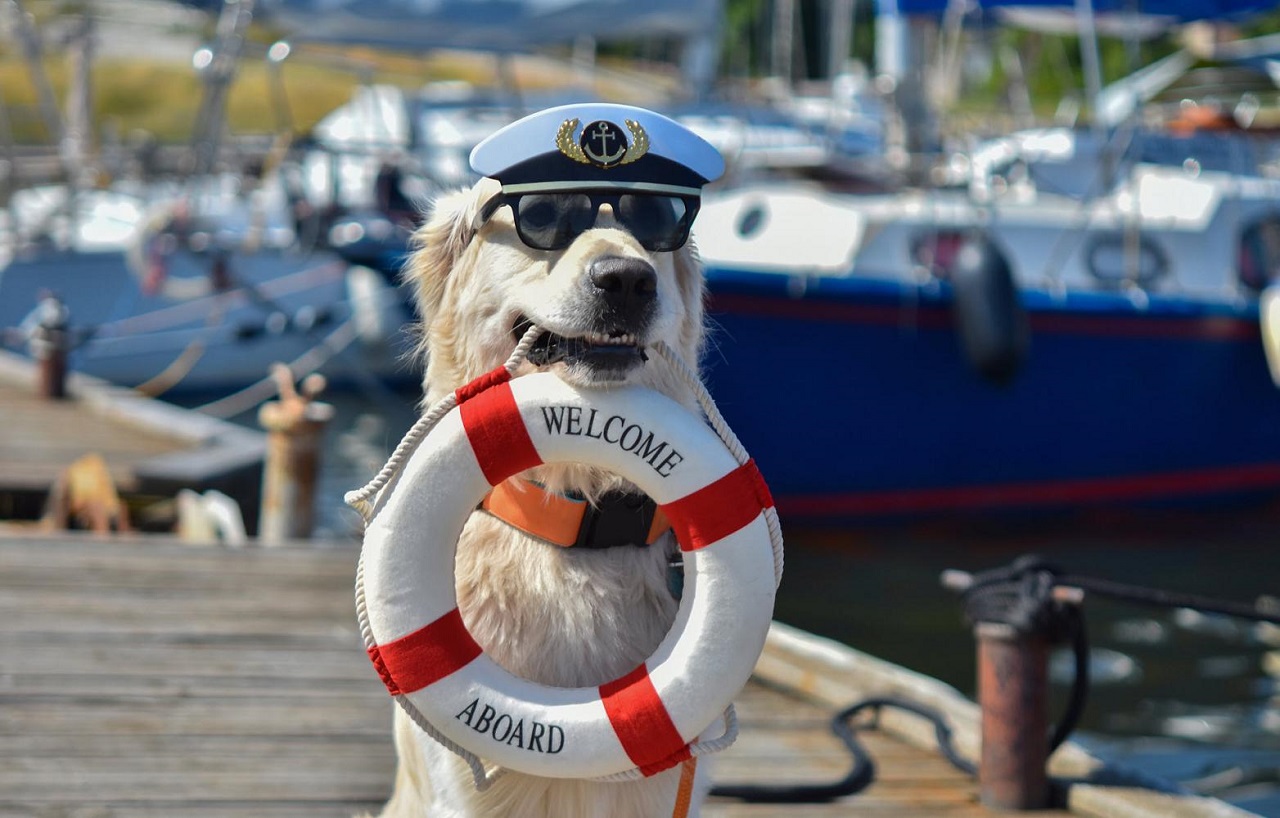Guide to Pet-Friendly Yacht Chartering in Croatia; Where to Find Dog-Friendly Boat Rentals?