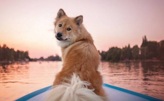 The best view of the sunset is from the bow of the boat