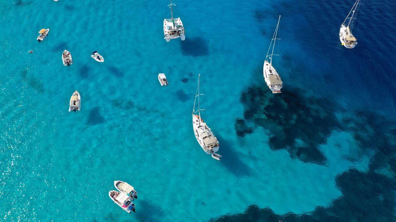 Sailboats and a Catamaran